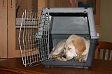 CAGE - BOX 020
